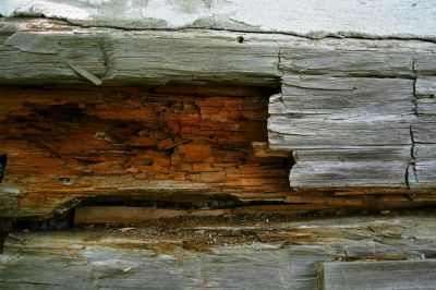 Fascia Damage Close-up